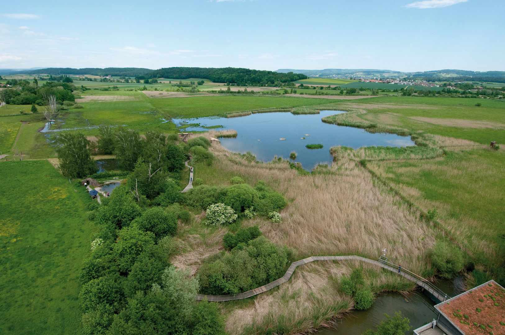 Luftaufnahme des Neeracherrieds mit Naturschutzzentrum, Moorfläche, See, Weihern und Steg durch das Gebiet