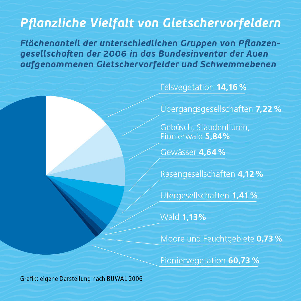 Graphik Pflanzliche Vielfalt von Gletschervorfeldern mit verschiedenen Pflanzengesellschaften
