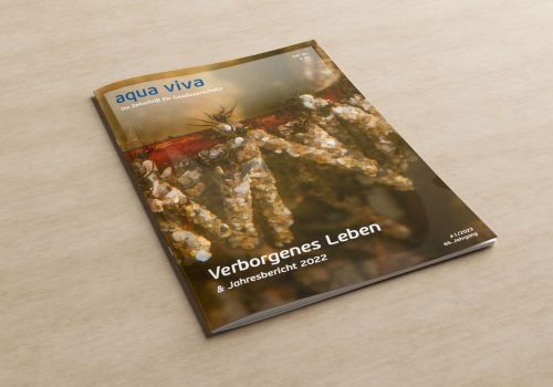 Verborgenes Leben (1/2023)