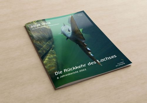 Die Rückkehr des Lachses (1/2022)