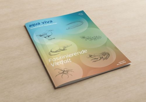Faszinierende Vielfalt (4/2022)