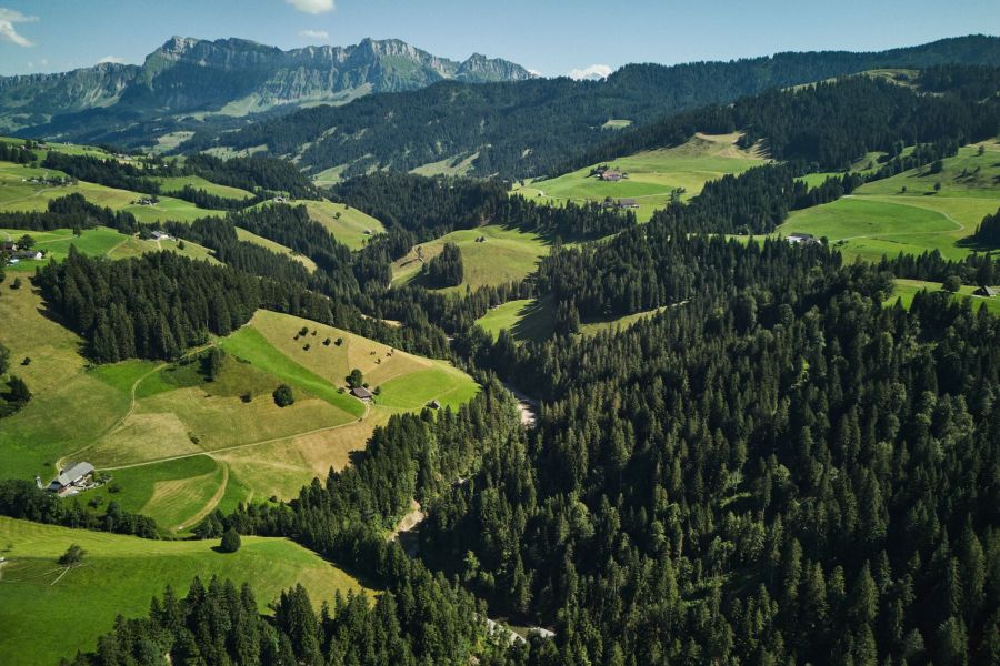 Grundlage für gute Kieslaichplätze: Gut zu sehen anhand einer morphologischen Klassifizierung nach Grundriss