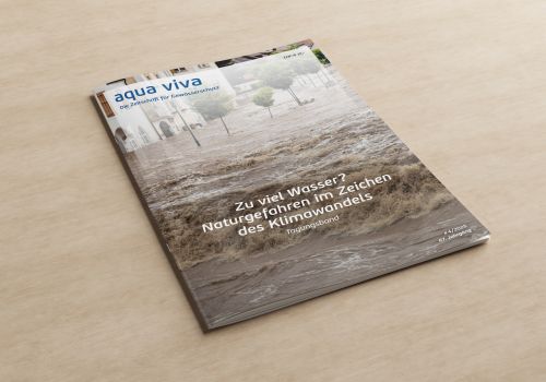 Zu viel Wasser? Naturgefahren im Zeichen des Klimawandels (4/2025)