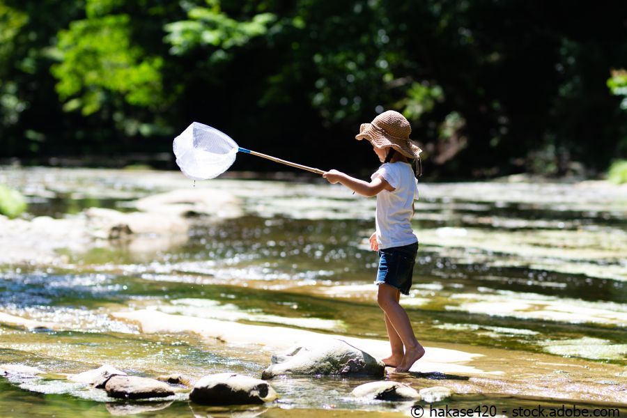 Ein Mädchen steht mit Fangnetz auf einem Stein in einem flachen Flussabschnitt.