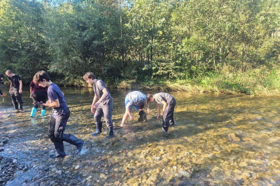 Eine Gruppe Kinder, die in einem Bach stehen und lernen
