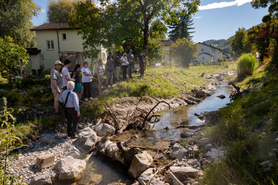 Die Wiederbelebte: Bioblitz am Sevelerbach (Lebendiger Dorfbach)