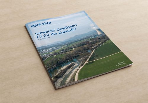 Schweizer Gewässer: Fit für die Zukunft?
