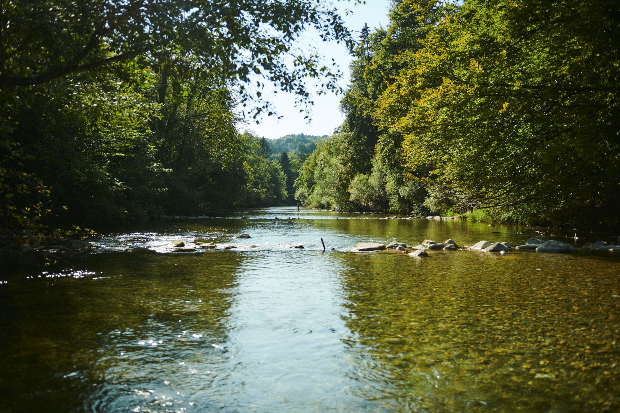 An der Töss entdecken wir gemeinsam die Artenvielfalt
