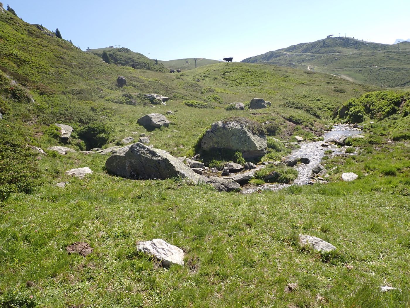 Die Verborgene: Ökologische Bedeutung von Quellen 