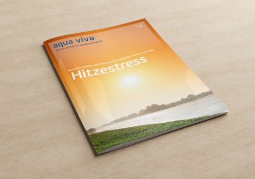 Hitzestress