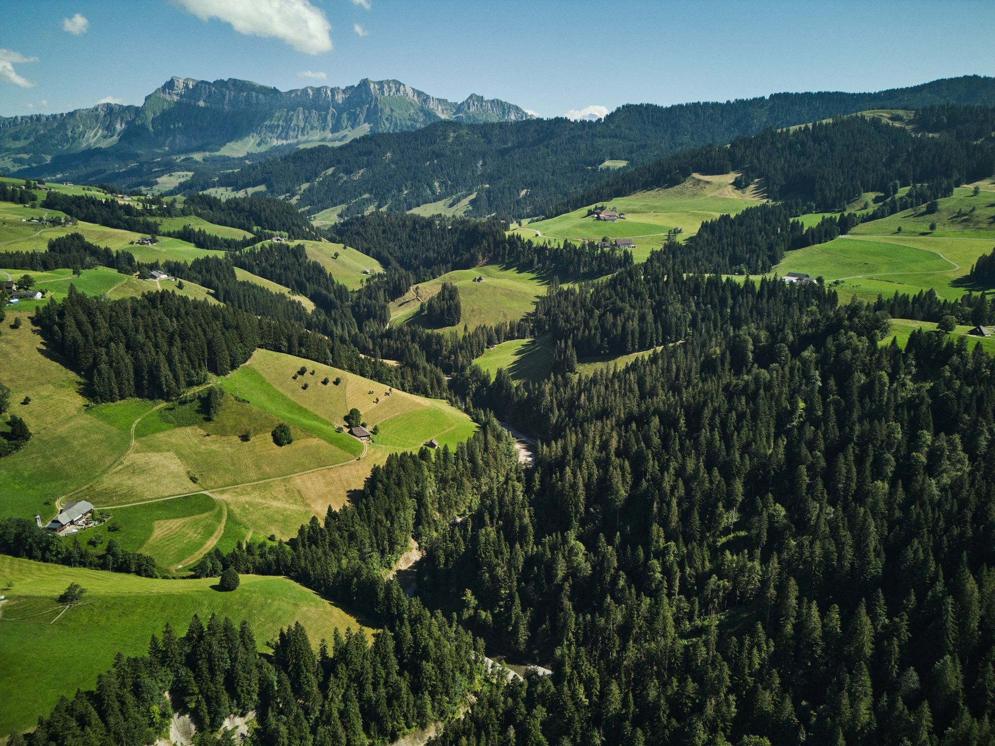 Grundlage für gute Kieslaichplätze: Gut zu sehen anhand einer morphologischen Klassifizierung nach Grundriss